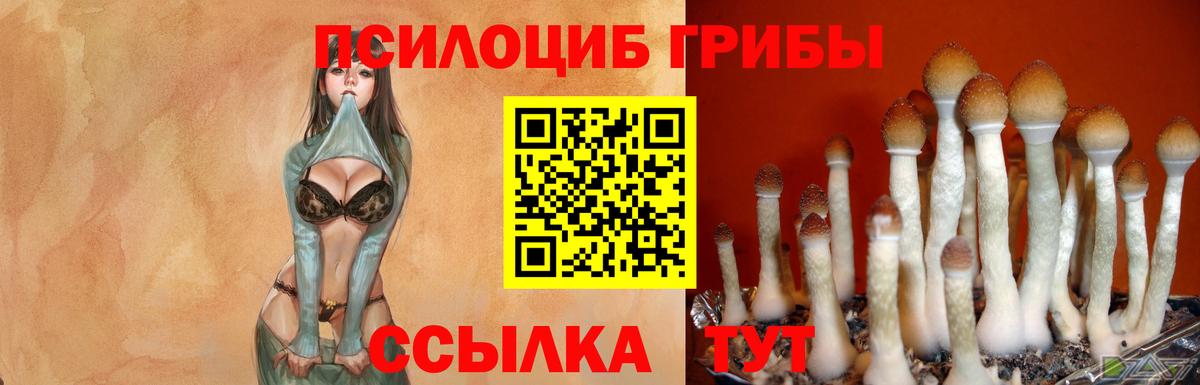 магазин  наркотиков  Псилоцибиновые грибы GOLDEN TEACHER  Галлюциногенные грибы MAGIC MUSHROOMS  Вход с VPN  Электрогорск 